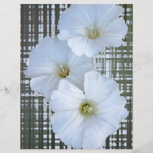 drei weiße Blume