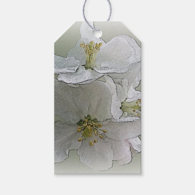 drei weiße Blume Geschenkanhänger (Vorderseite)