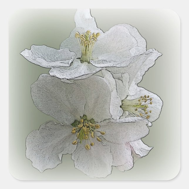 drei weiße Blume Quadratischer Aufkleber (Vorderseite)