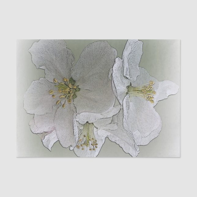 drei weiße Blume Seidenpapier (Vorderseite)