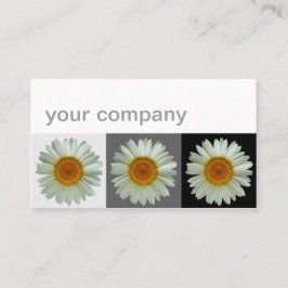 Drei weiße Gänseblümchen-moderne Blumen Visitenkarte