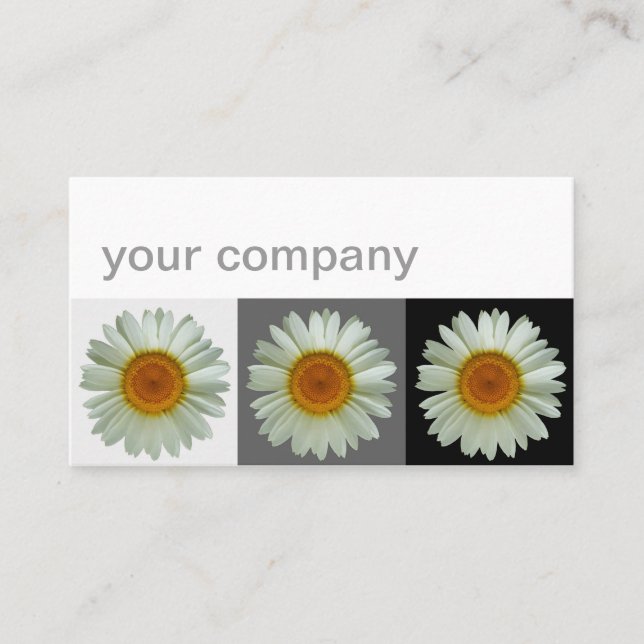 Drei weiße Gänseblümchen-moderne Blumen Visitenkarte (Vorderseite)