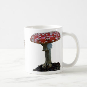 Drei Wulstlings-Pilz-Tasse Tasse