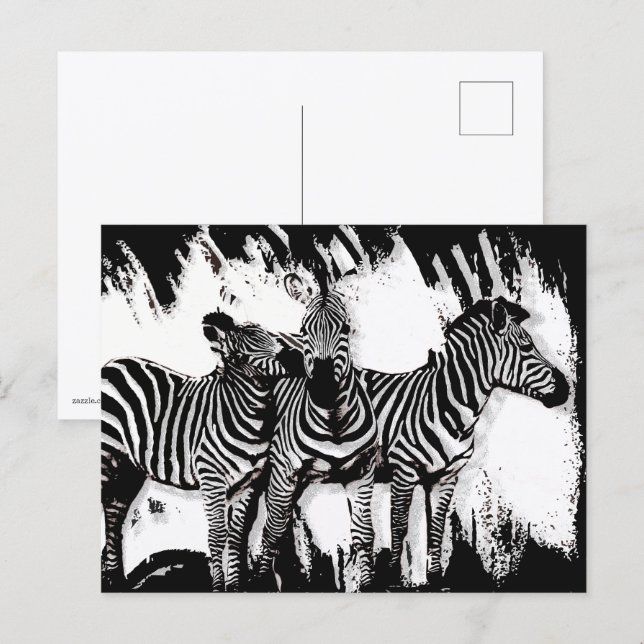 Drei Zebras beim Malen Postkarte (Vorne/Hinten)