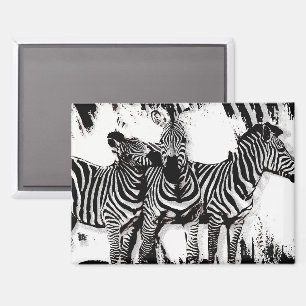 Drei Zebras malen Magnet