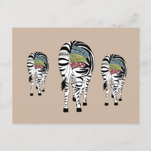 Drei Zebras  Postkarte