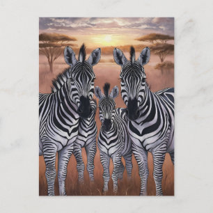 Drei Zebras-Weiden auf der Wiese Postkarte