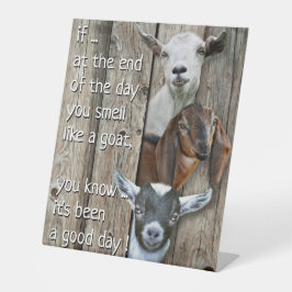 Drei Ziegen Portrait Niedliches Ziegengedicht Sockelschild