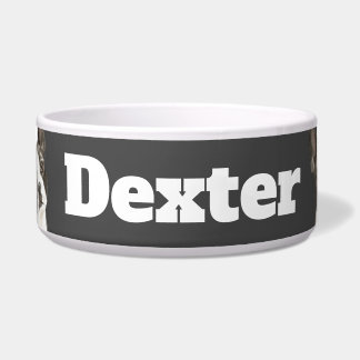 Dreieck Boston Terrier Napf