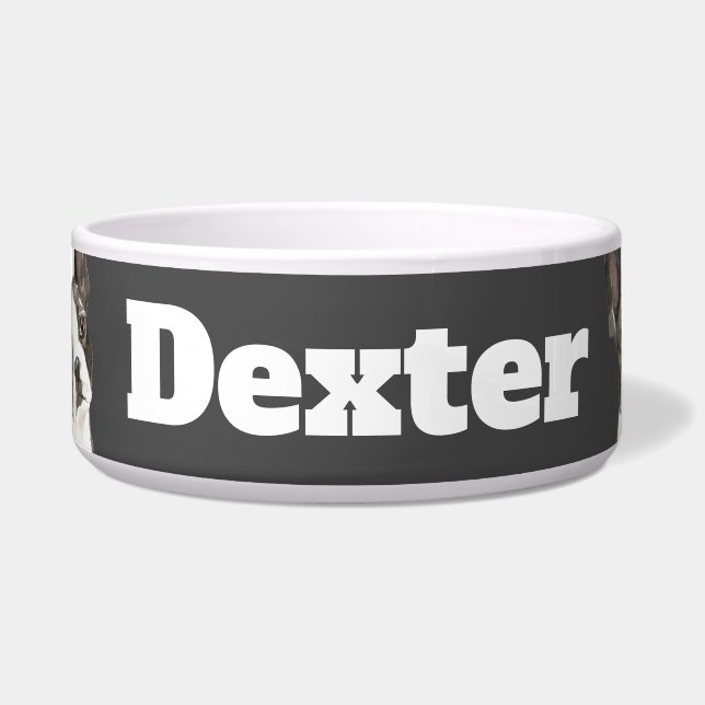 Dreieck Boston Terrier Napf (Vorderseite)