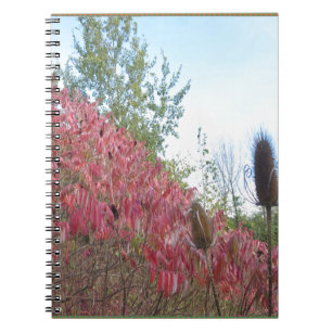 Dreieck-bunter Natur-Druck Goodluck warmer Fall Notizblock