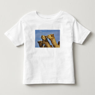 Dreiergruppe von Kamelen, Kamelmarkt, Kairo, Ägypt Kleinkind T-shirt