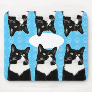 Dreifach süße Katze Lustige Katze Epische Aussage Mousepad