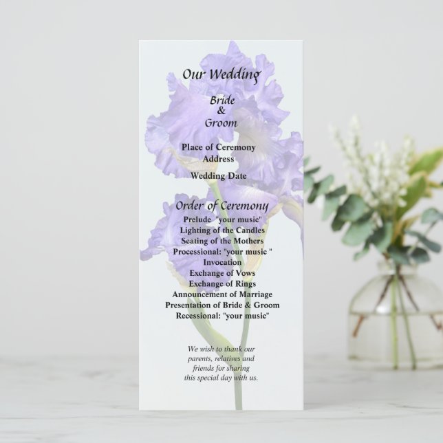 Dreifach Violette Iris Programm (Stehend Vorderseite)