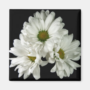 Dreifacher Freuden-Magnet Magnet