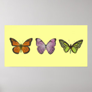 Dreifaches Schmetterlings-Plakat horizontal Poster