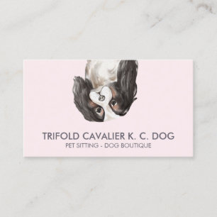 Dreifaltiger Cavalier King Charles Hund Visitenkarte