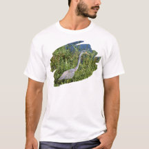 Dreifarbenreiher