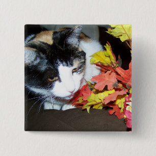Dreifarbige Katze Herbst Blätter Button