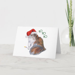 Dreifarbige Perserkatze Weihnachten