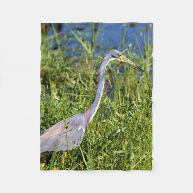 Dreifarbiger Reiher watet im Sumpf Fleecedecke (Vorderseite)