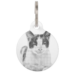 Dreifarbiges Katze Minimal Halftone Haustiermarke