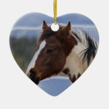 Dreifarbiges Pferd