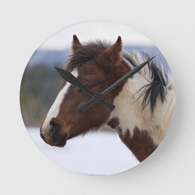 Dreifarbiges Pferd Runde Wanduhr (Vorderseite)