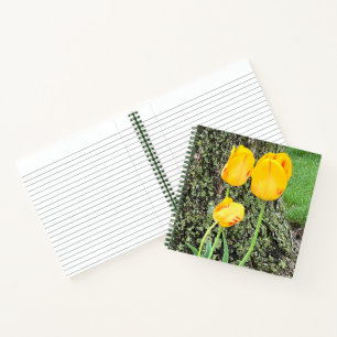 Dreigelbe Tulips / Journal Notizbuch