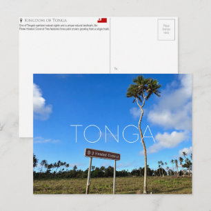 Dreiköpfige Kokospalme, Tonga Reise-Postkarte Postkarte