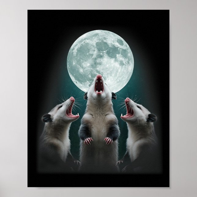 Dreimal Possum Moon _ 3 Opossum und Toter Mond Poster (Vorne)