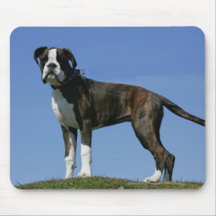 Dreimonatiges Baby Boxer-Welpe Mousepad