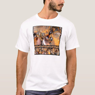 Dreizehn Stück T-Shirt