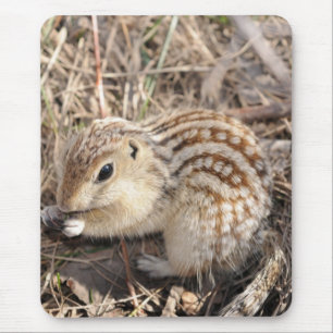 Dreizehn zeichneten Grundeichhörnchen Mousepad