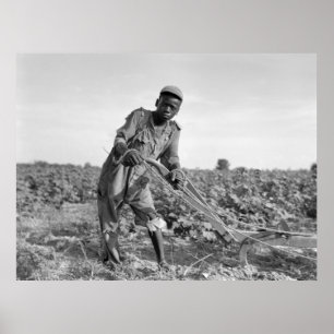 Dreizehnjähriges Pflügen in Georgien Poster