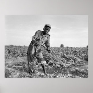 Dreizehnjähriges Pflügen in Georgien Poster