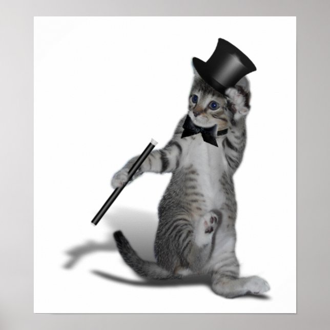 Dress to Impress & do ein wenig Tanz auch! Poster (Vorne)