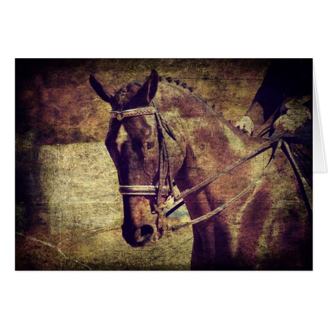 Dressage (Vorderseite (Horizontal))