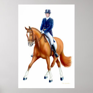 Dressage Halbpass Reitsport Poster
