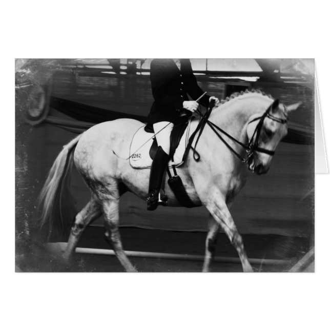 Dressage Horse Grunge (Vorderseite (Horizontal))