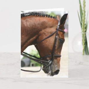 Dressage Horse Grußkarte Karte