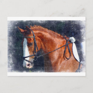 Dressage Horse Postkarte