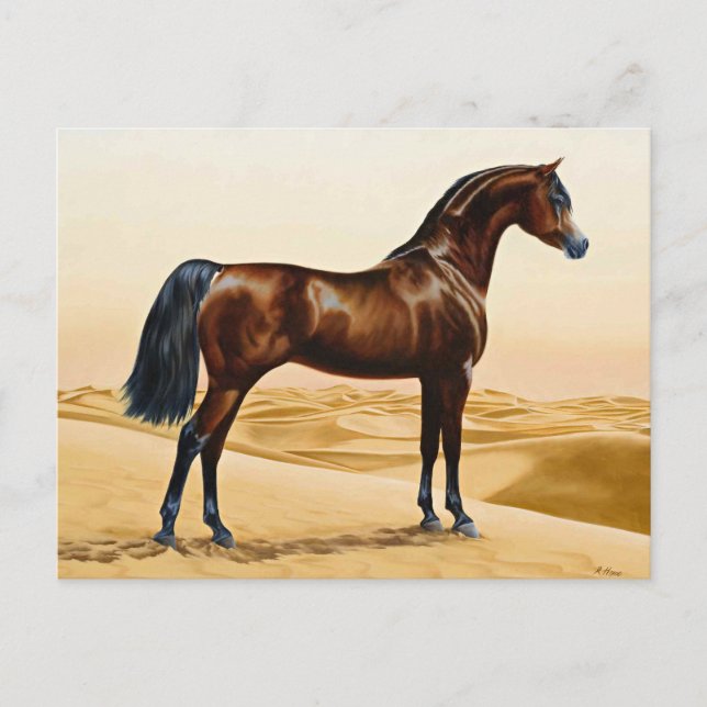 Dressage Pferd anzeigen Postkarte (Vorderseite)