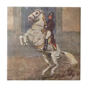 Dressage-Pferdefliese Fliese