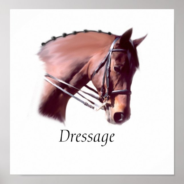Dressage Poster (Vorne)