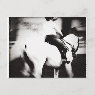 Dressage Postkarte
