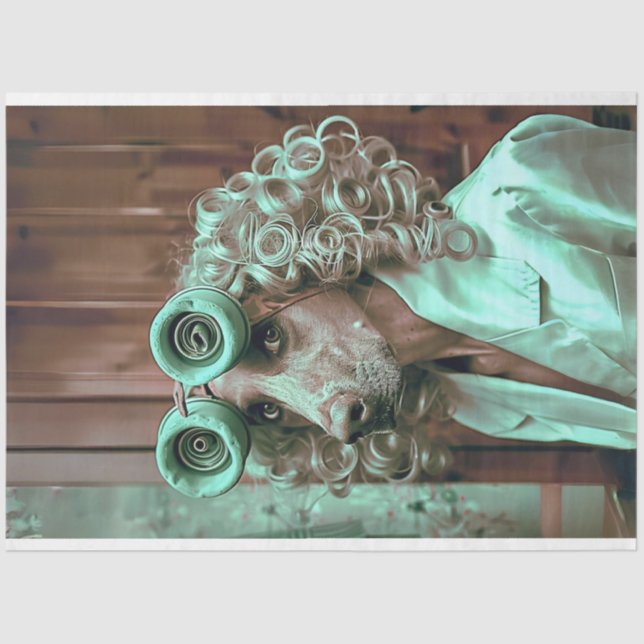 Dressed Bird Dog Decoupage Seidenpapier (Vorderseite)