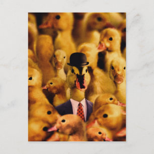 Dressed for Success Duck Postkarte