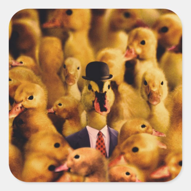 Dressed for Success Duck Quadratischer Aufkleber (Vorderseite)