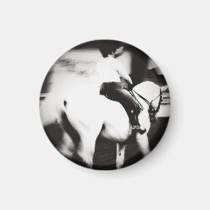 Dressur Abstrakt Magnet